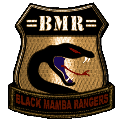 bmr insurgency